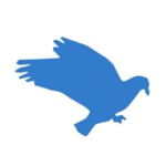 DMM: Governance